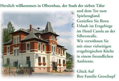 Hotel Carola Olbernhau Eksteriør bilde